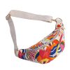 IMG_8031 Multi Color Printed Waist Bag Group